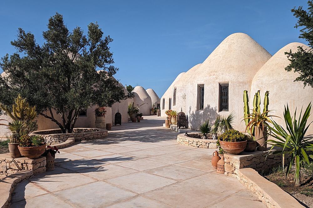 Cúpulas blancas entre olivos y cactus en el campo marroquí
