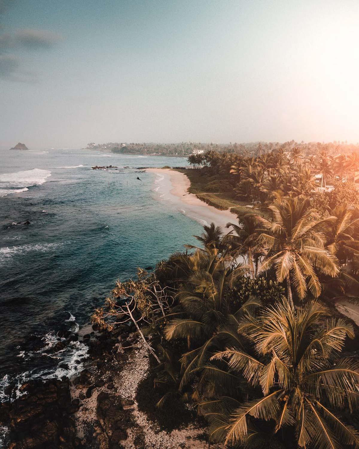 Costa sur de Sri Lanka con palmeras al atardecer
